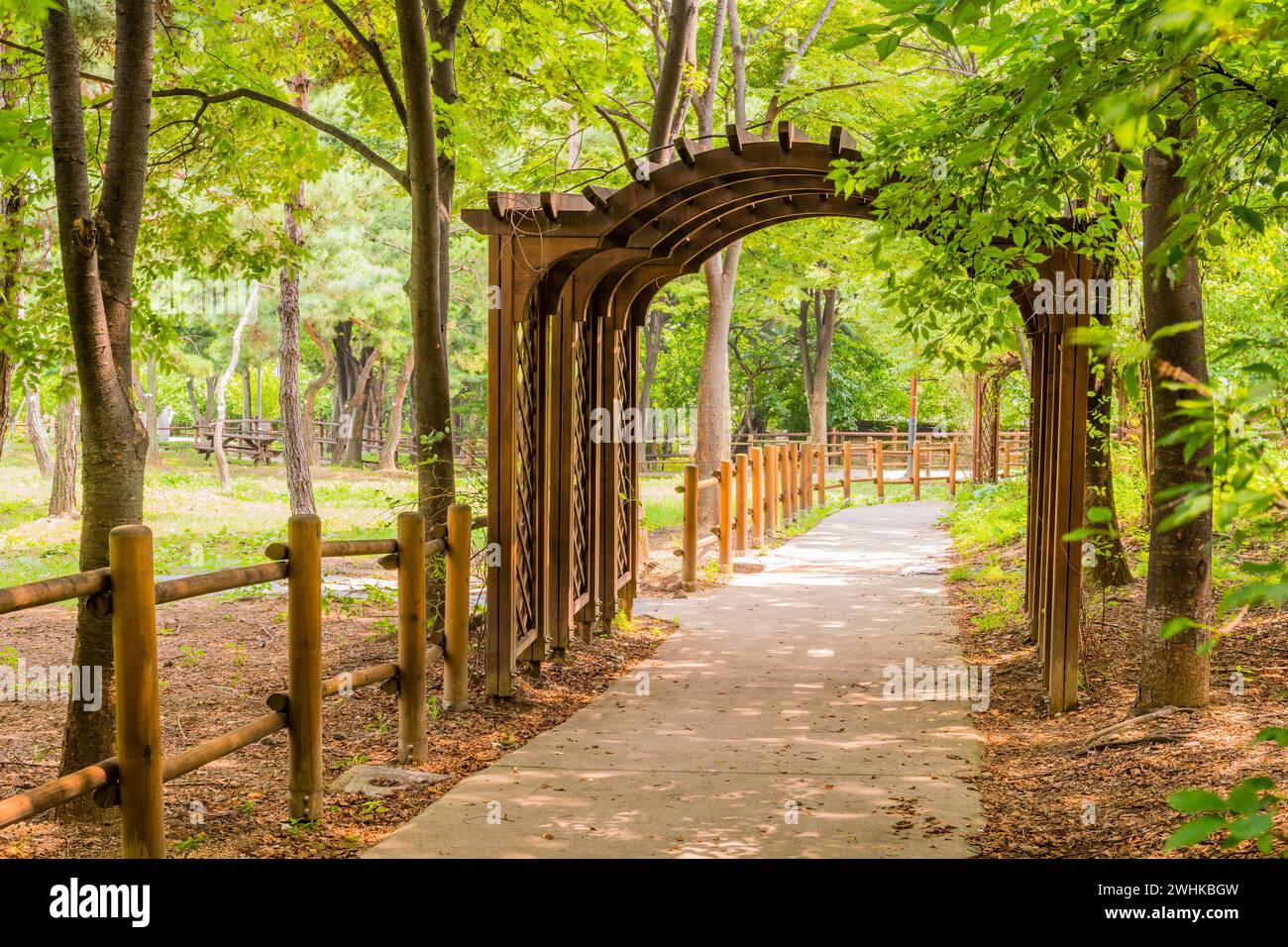 Arcata in legno sul marciapiede nel parco pubblico urbano della Corea del Sud Foto Stock