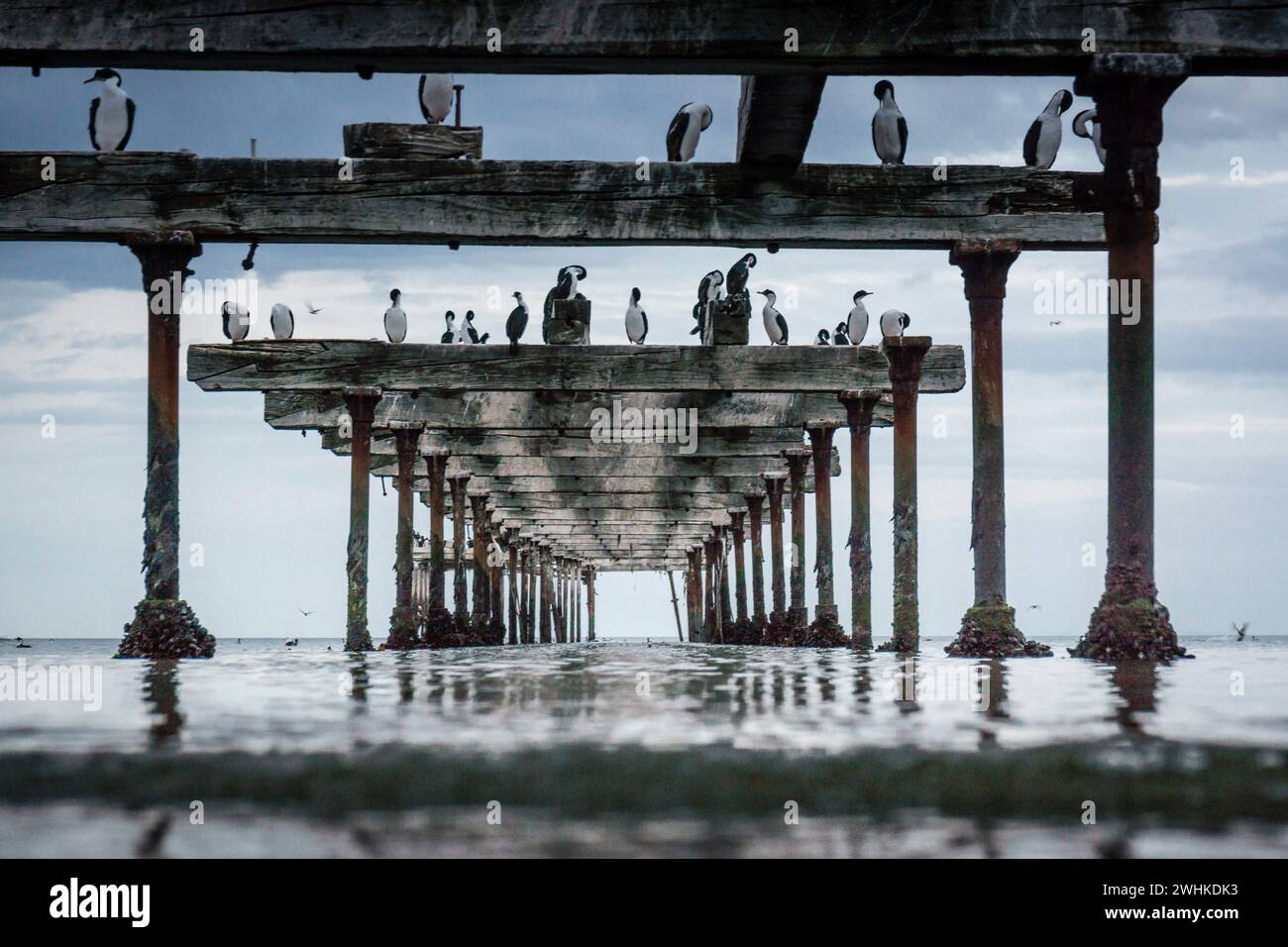 Costanera Foto Stock