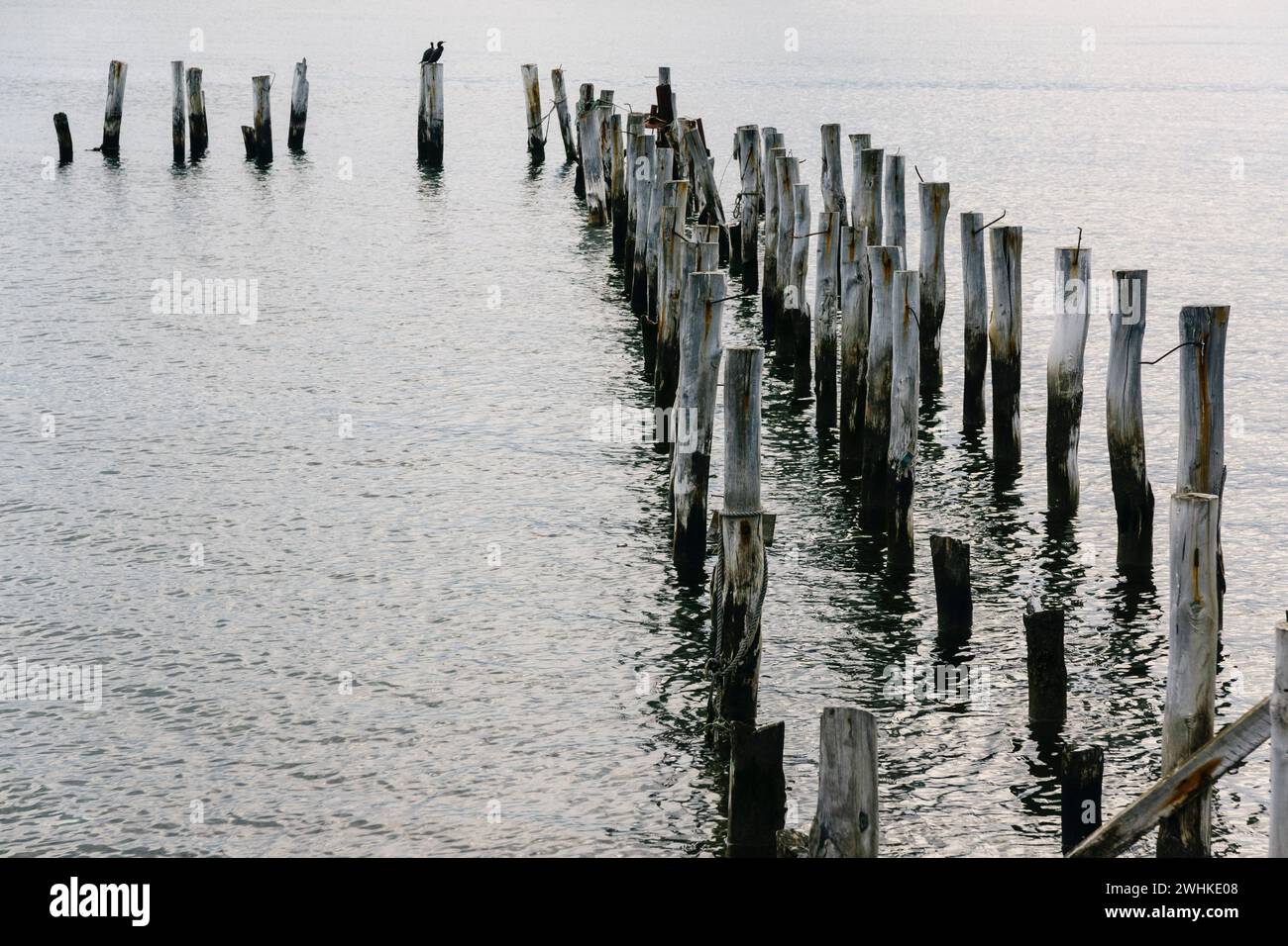 Puerto Natales Foto Stock