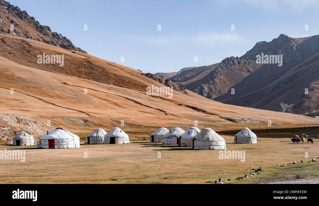 Yurts con colline gialle, distretto di Atbashy nella regione di Naryn, Kirghizistan Foto Stock