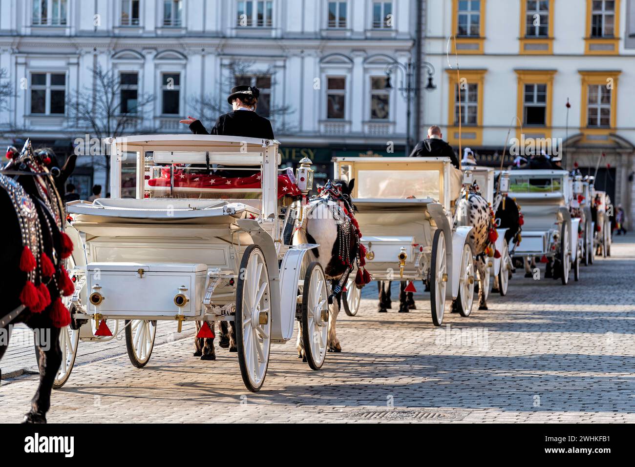 Cavalli con carrozza sulla piazza principale di Cracovia Foto Stock