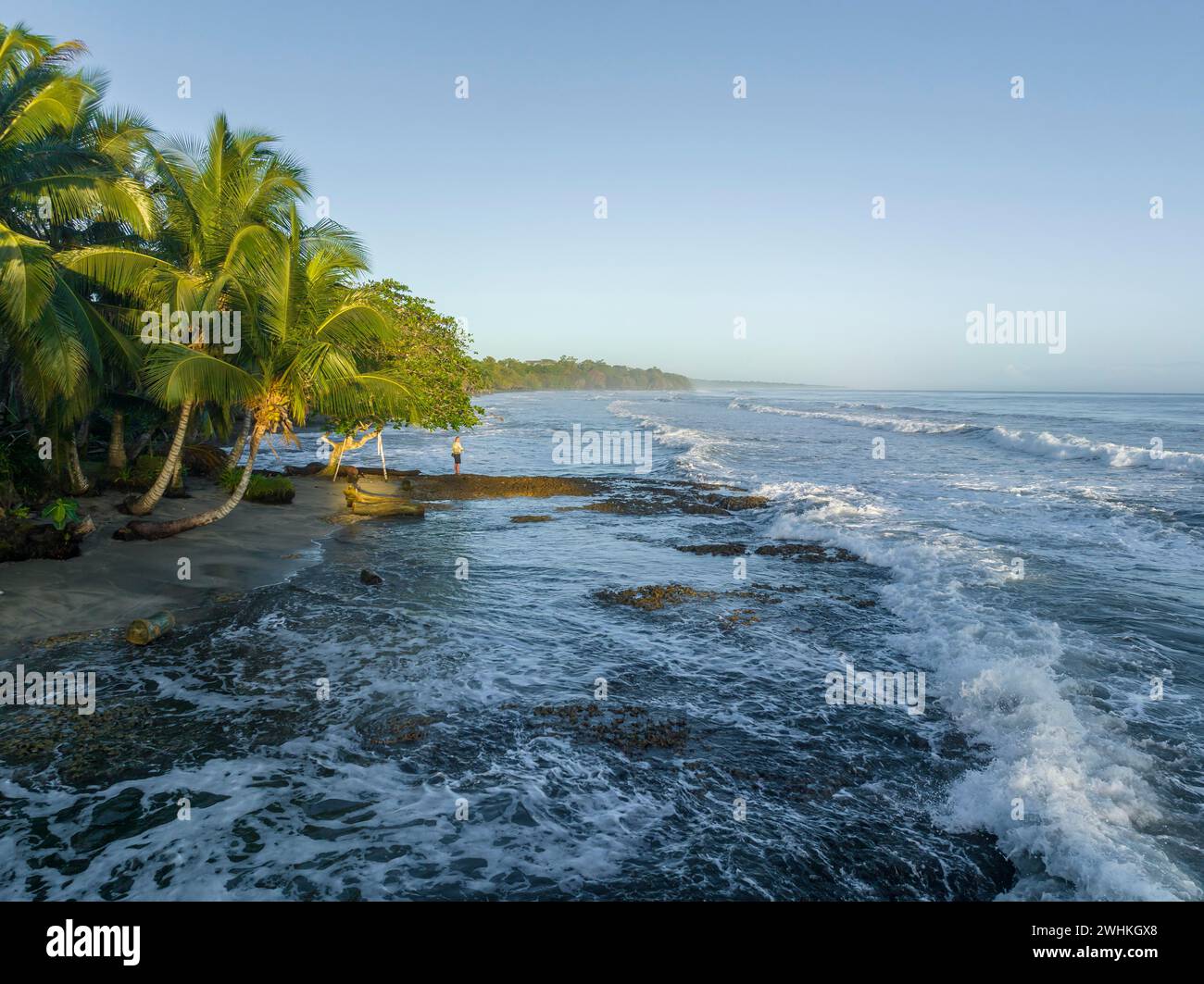 Spiaggia caraibica, costa di Cahuita, Limon, Costa Rica Foto Stock