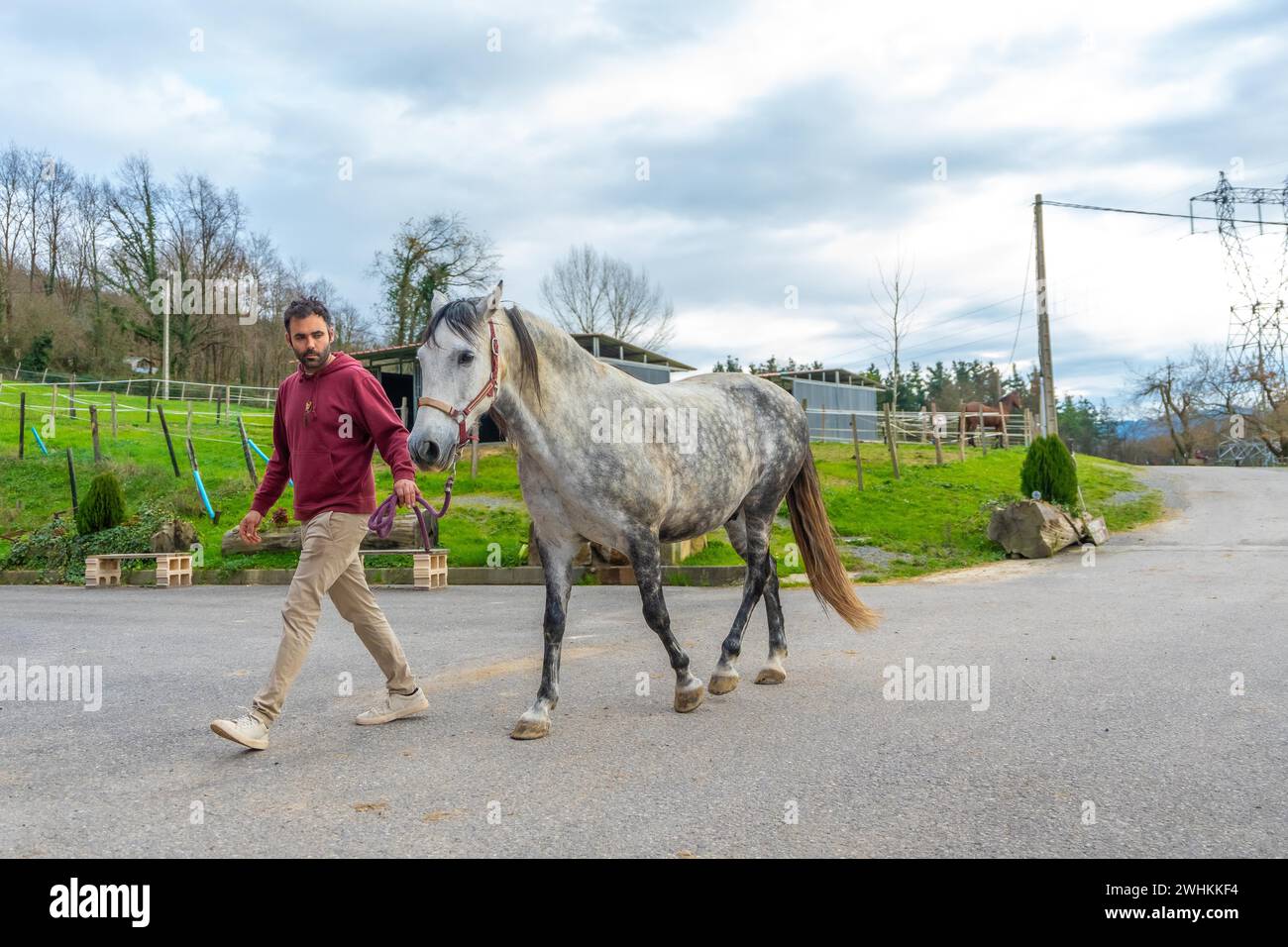 Uomo che cammina un cavallo con una corda in un centro equestre in una giornata nuvolosa Foto Stock