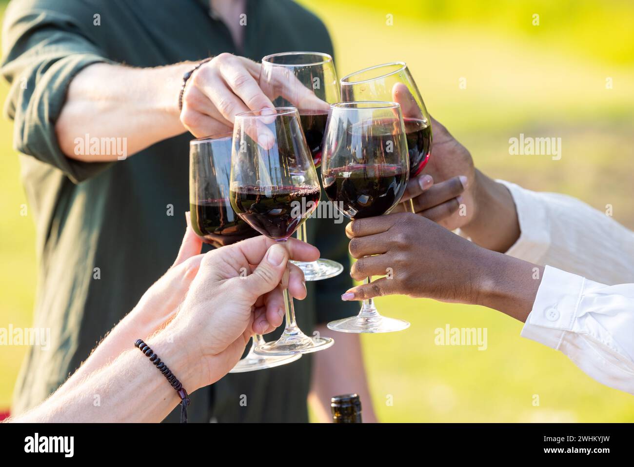 Festività, festa e concetto di persone, amici felici che fanno una festa estiva in giardino cena a casa bevendo analcolico rosso W Foto Stock