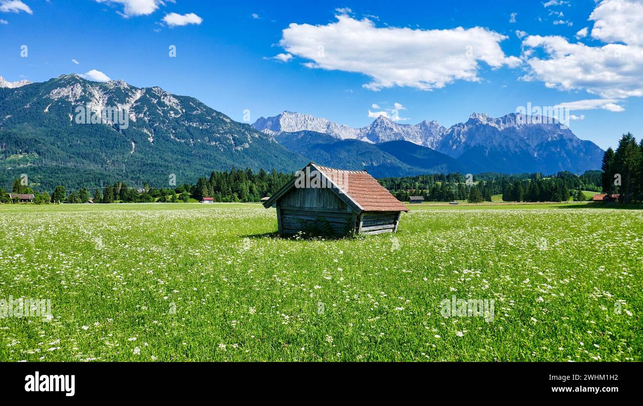 Heustadel nel mezzo di un prato fiorito di fiori alpini di fronte alle montagne del Karwendel Foto Stock