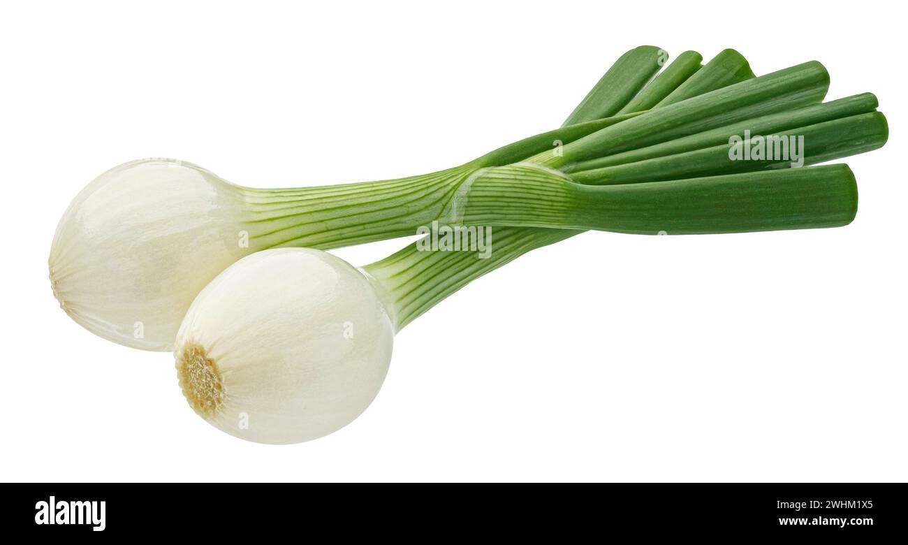 Cipolla verde isolato su sfondo bianco con tracciato di ritaglio Foto Stock