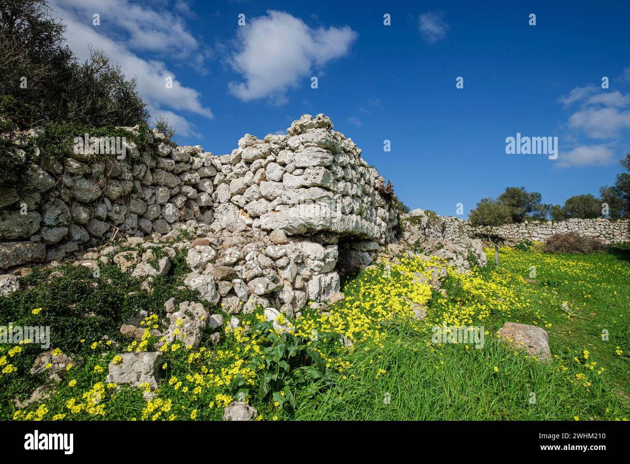Torrellafuda Foto Stock