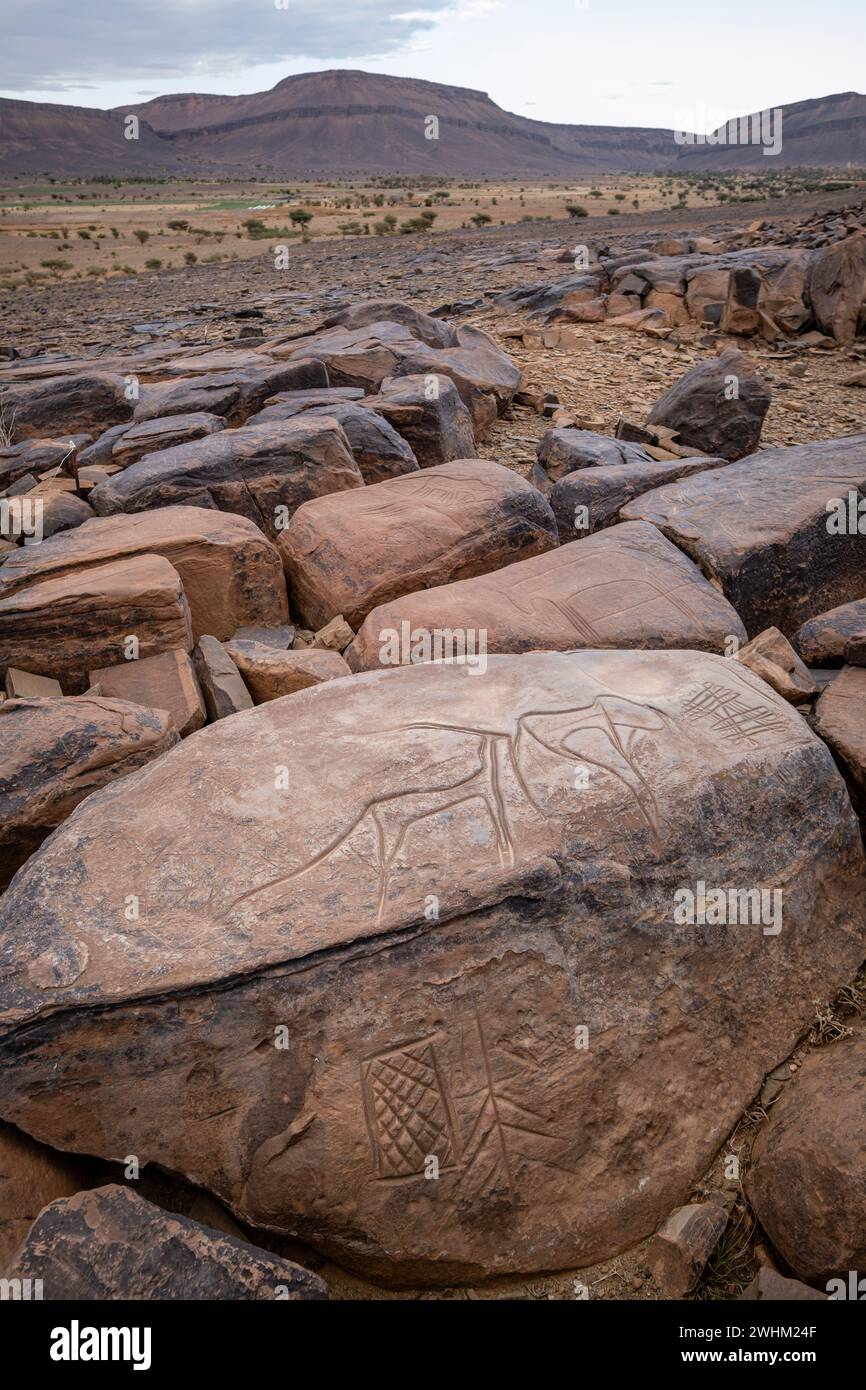 Petroglyph Foto Stock