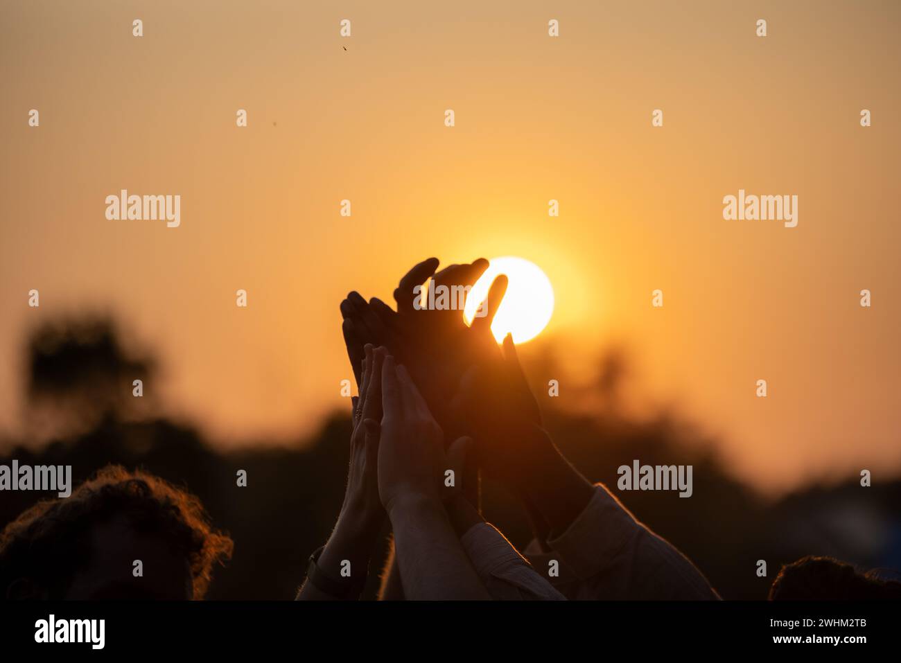 Unity in silhouette: Amici multi-razziali in alto fermento e applausi contro Sunset Sky Foto Stock