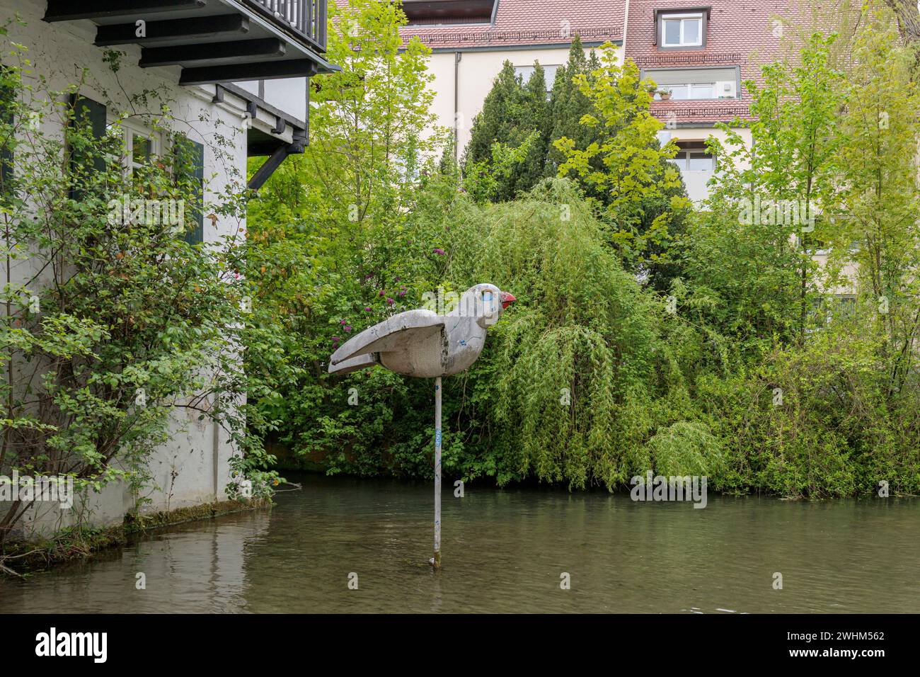 "Ulmer Spatz" nel distretto di pesca di Ulm, Germania Foto Stock