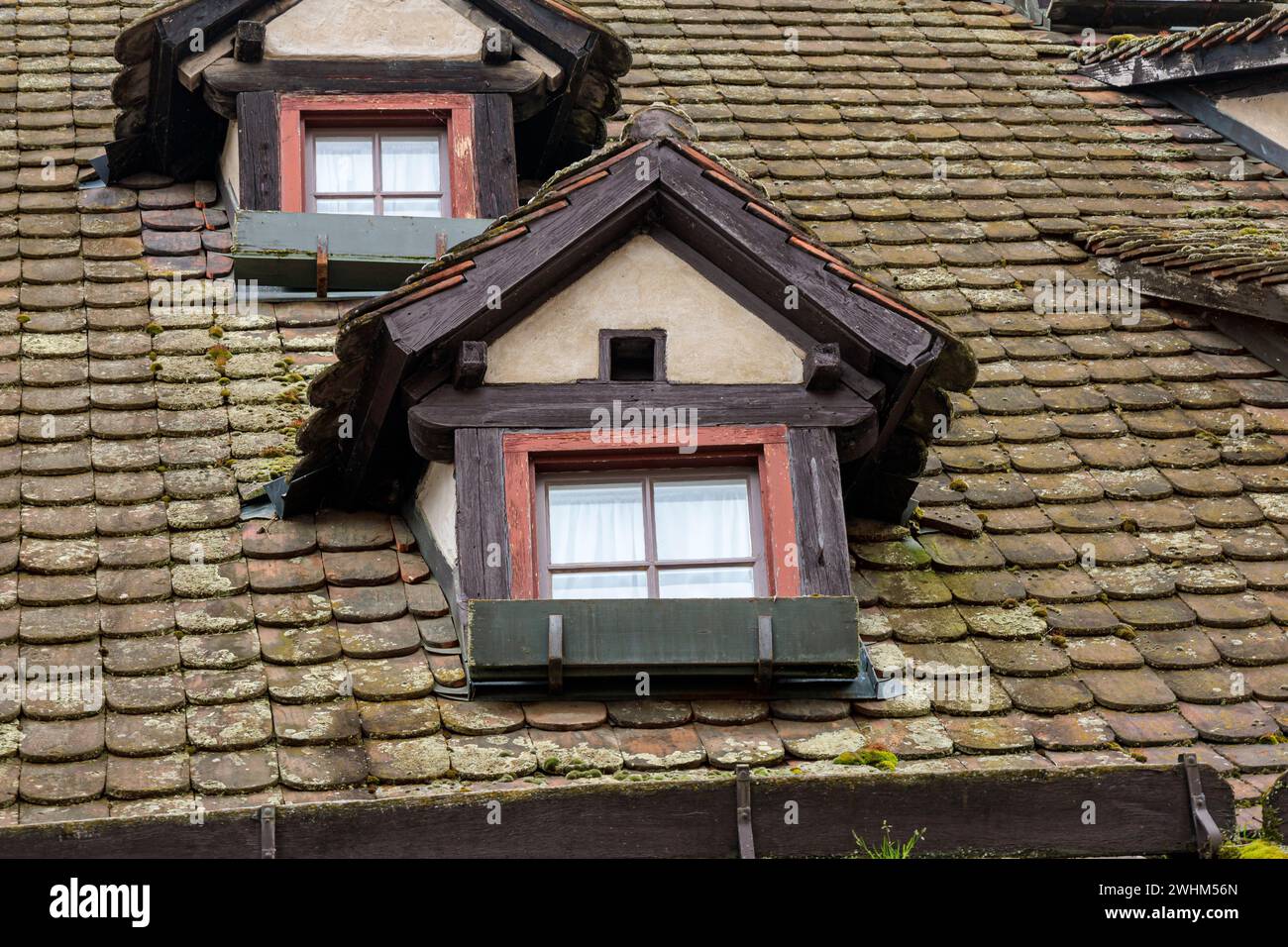 Finestre dormer nel quartiere dei pescatori di Ulm, Germania Foto Stock