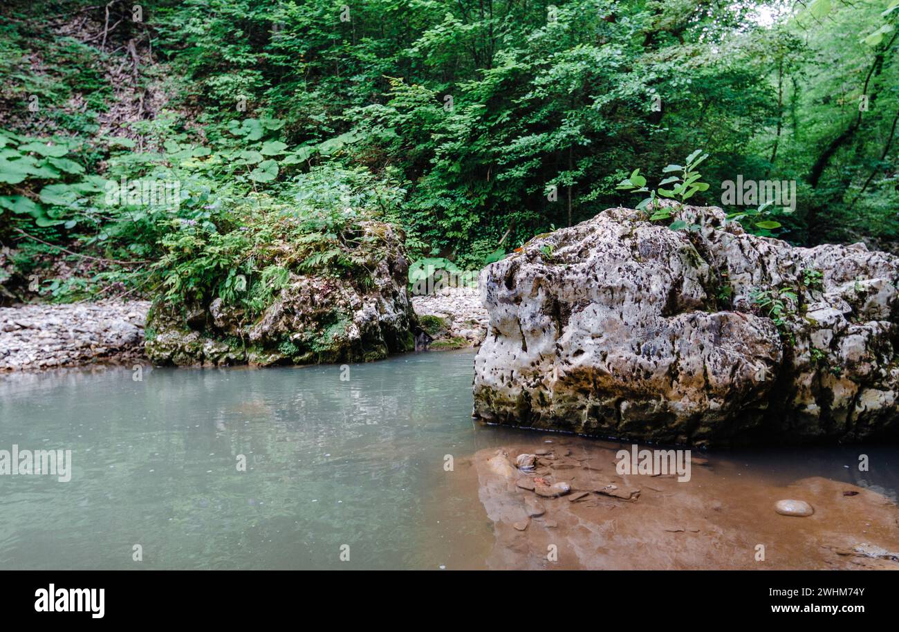 Fiume di montagna nella giungla della thailandia senza persone Foto Stock