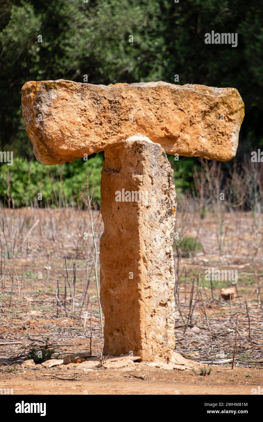 CAN Garra Seca Foto Stock