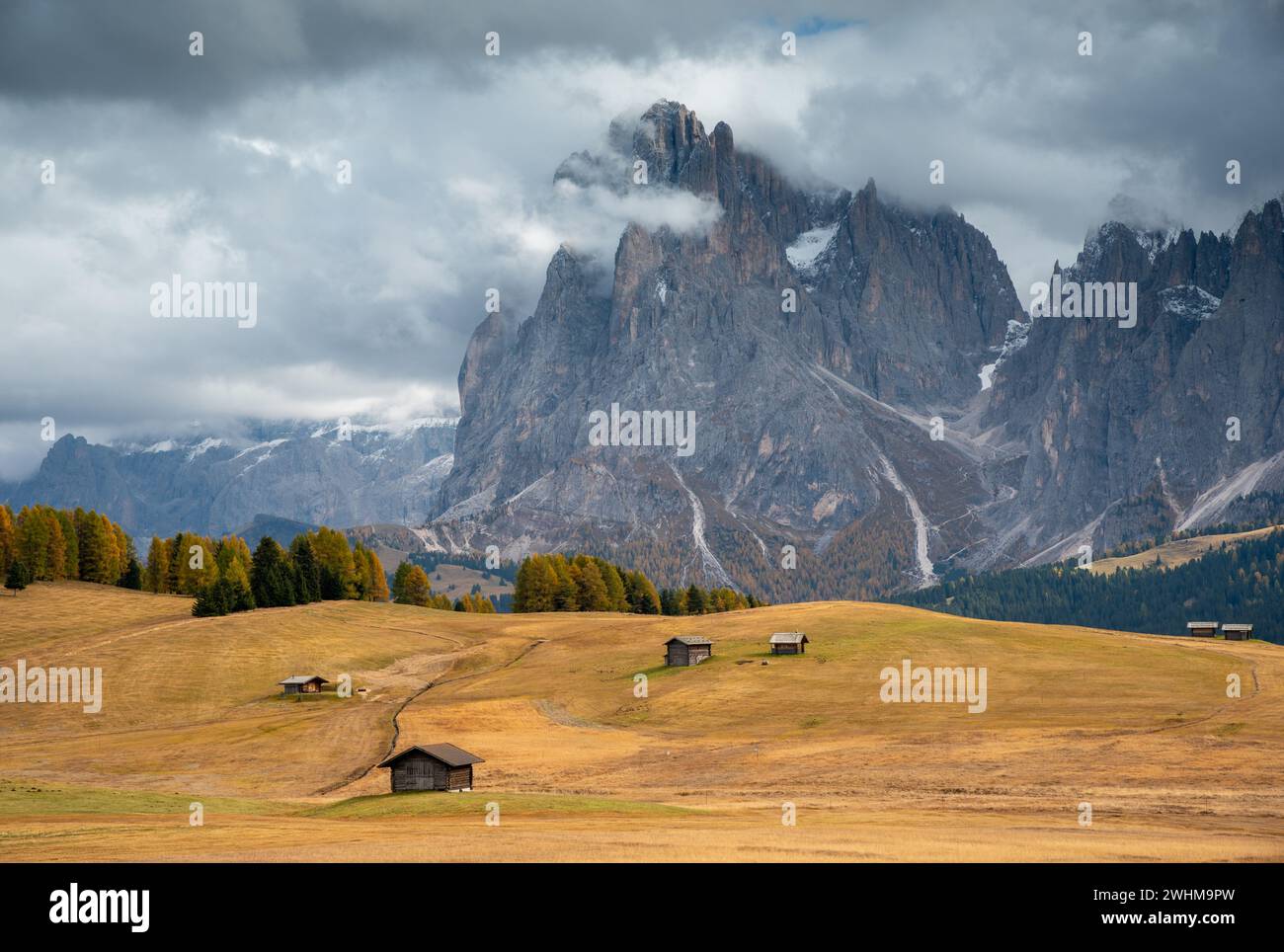 Prato autunnale. Cime rocciose dolomitiche. Valle Alpe di siusi Alpe di siusi alto Adige Italia. Foto Stock