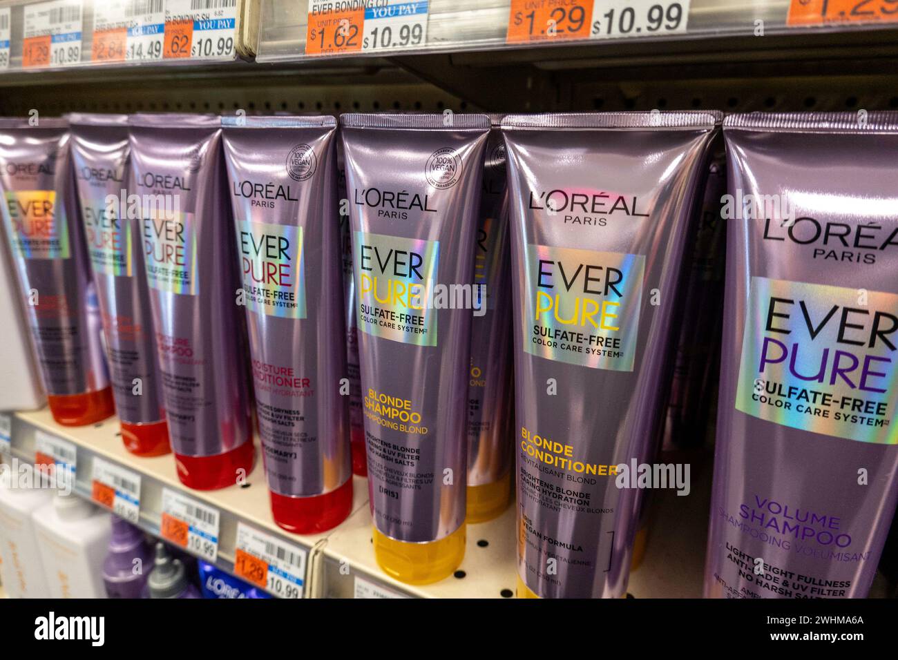 Esposizione di shampoo presso CVS Drugstore and Pharmacy, NYC, USA Foto Stock