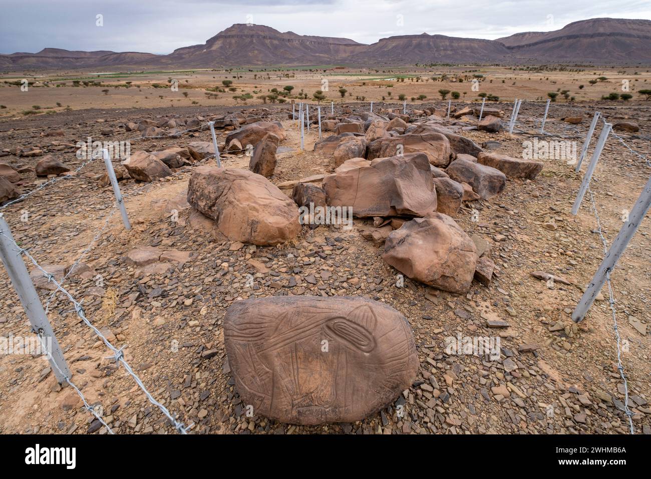Petroglifo Foto Stock