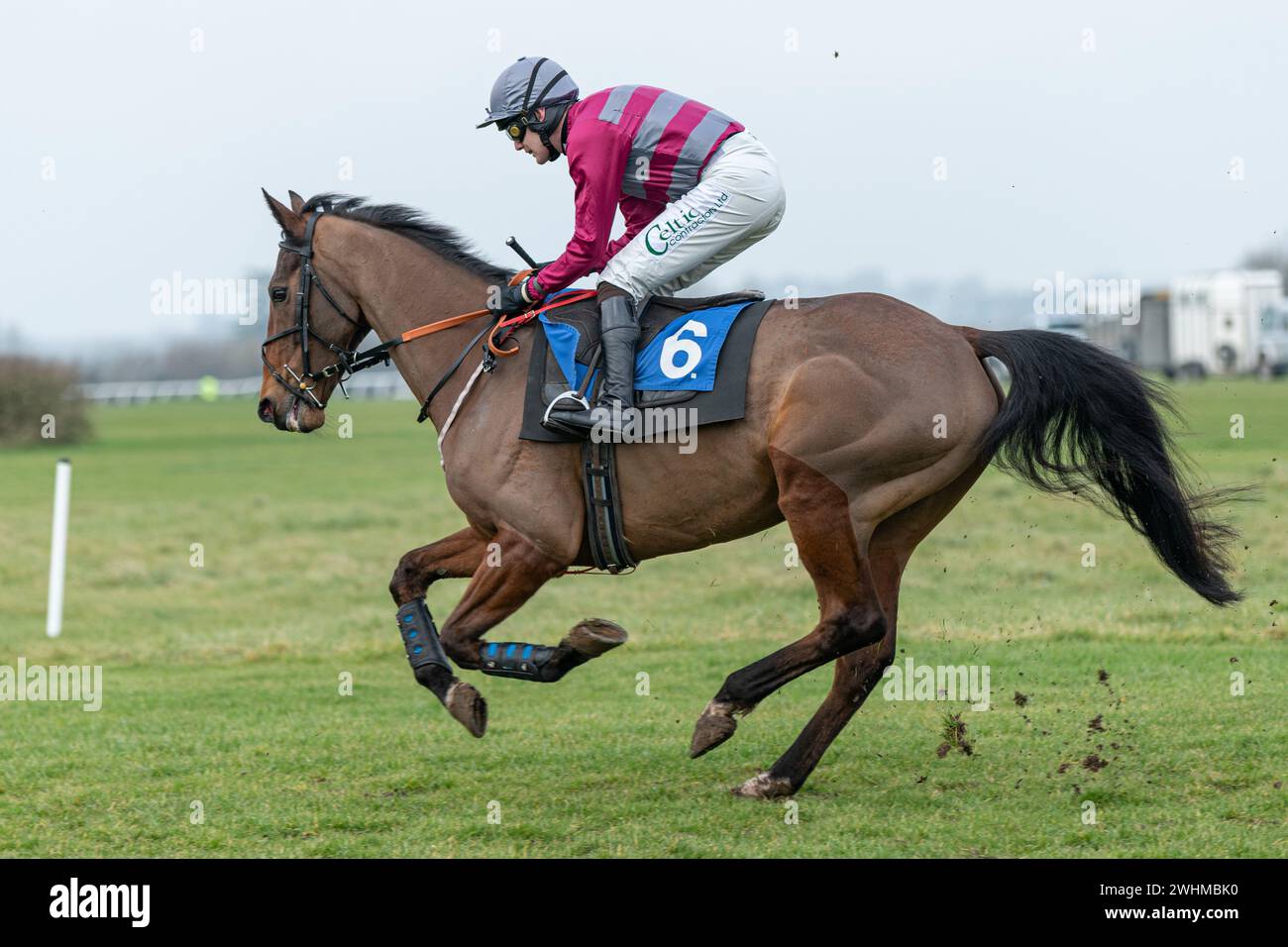 2 marzo 2022 Racing a Wincanton Foto Stock