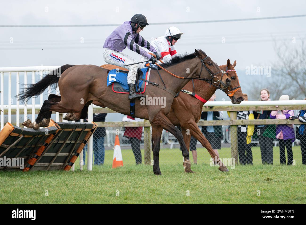 2 marzo 2022 Racing a Wincanton Foto Stock