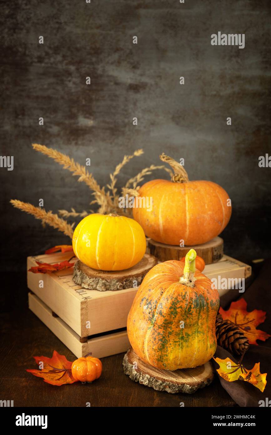 Concetto di Halloween o giorno del Ringraziamento, vendemmia autunnale. Festività autunnali decorazioni stagionali con zucche e foglie su ruggine Foto Stock