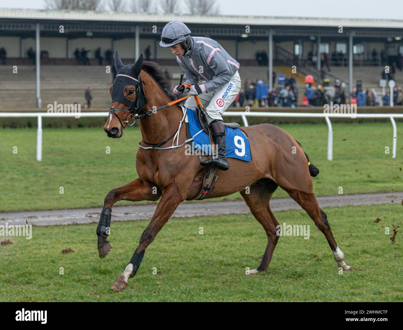 Terza gara a Wincanton 2 marzo 2022 - ostacolo Novices Foto Stock