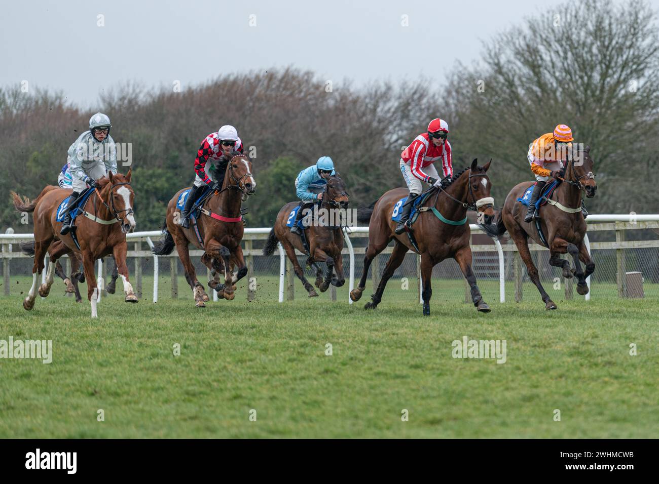 Terza gara a Wincanton 2 marzo 2022 - ostacolo Novices Foto Stock