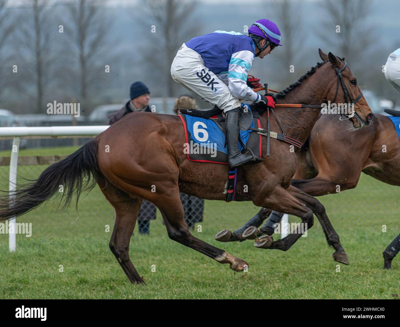 Terza gara a Wincanton 2 marzo 2022 - ostacolo Novices Foto Stock