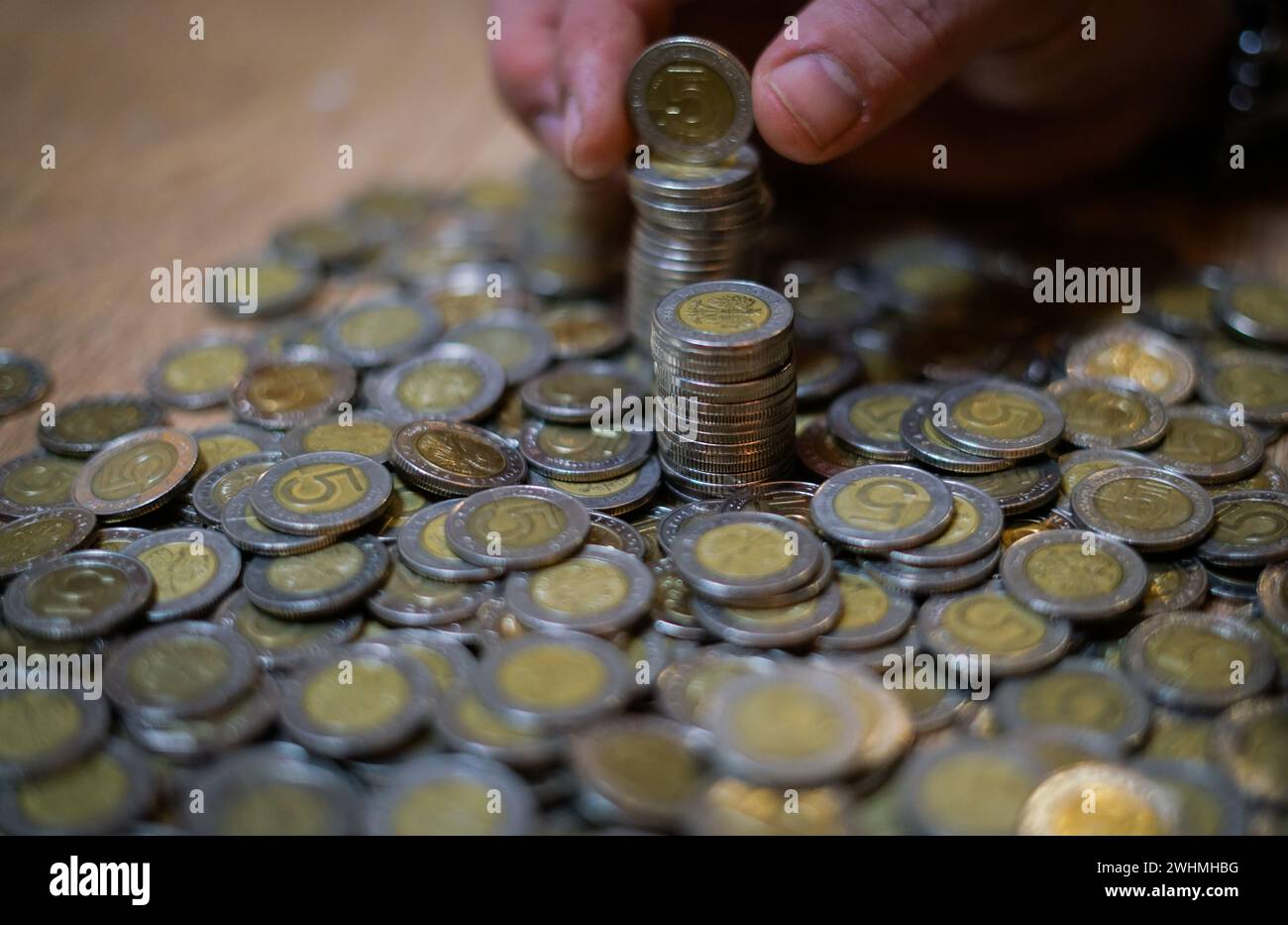 Monete polacche. Soldi polacchi. Valuta polacca. Foto Stock