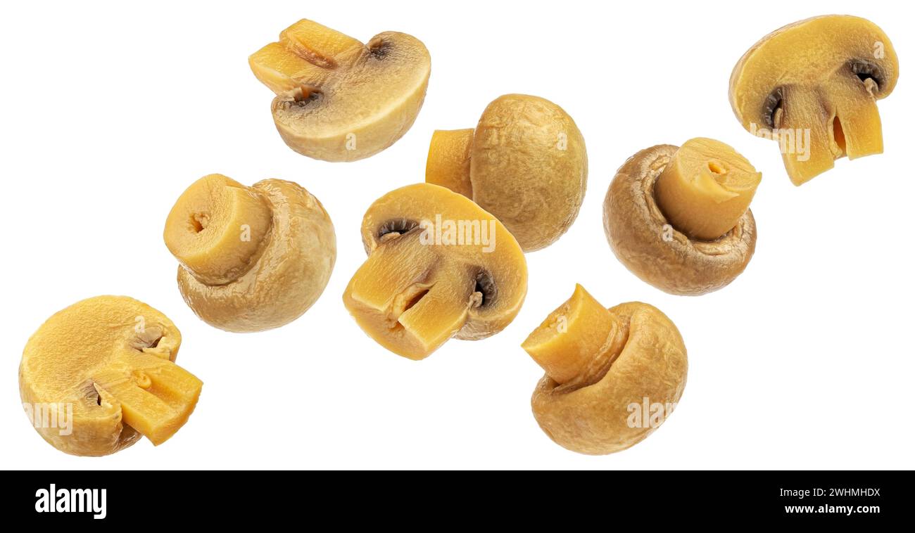 Funghi marinati, champignon sottaceto isolato su sfondo bianco Foto Stock