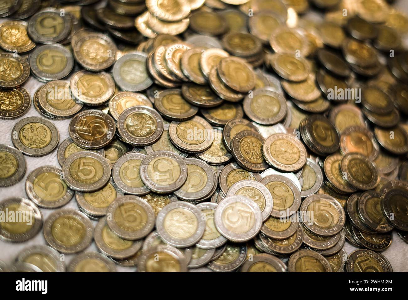 Monete polacche. Fare piani finanziari. Foto Stock