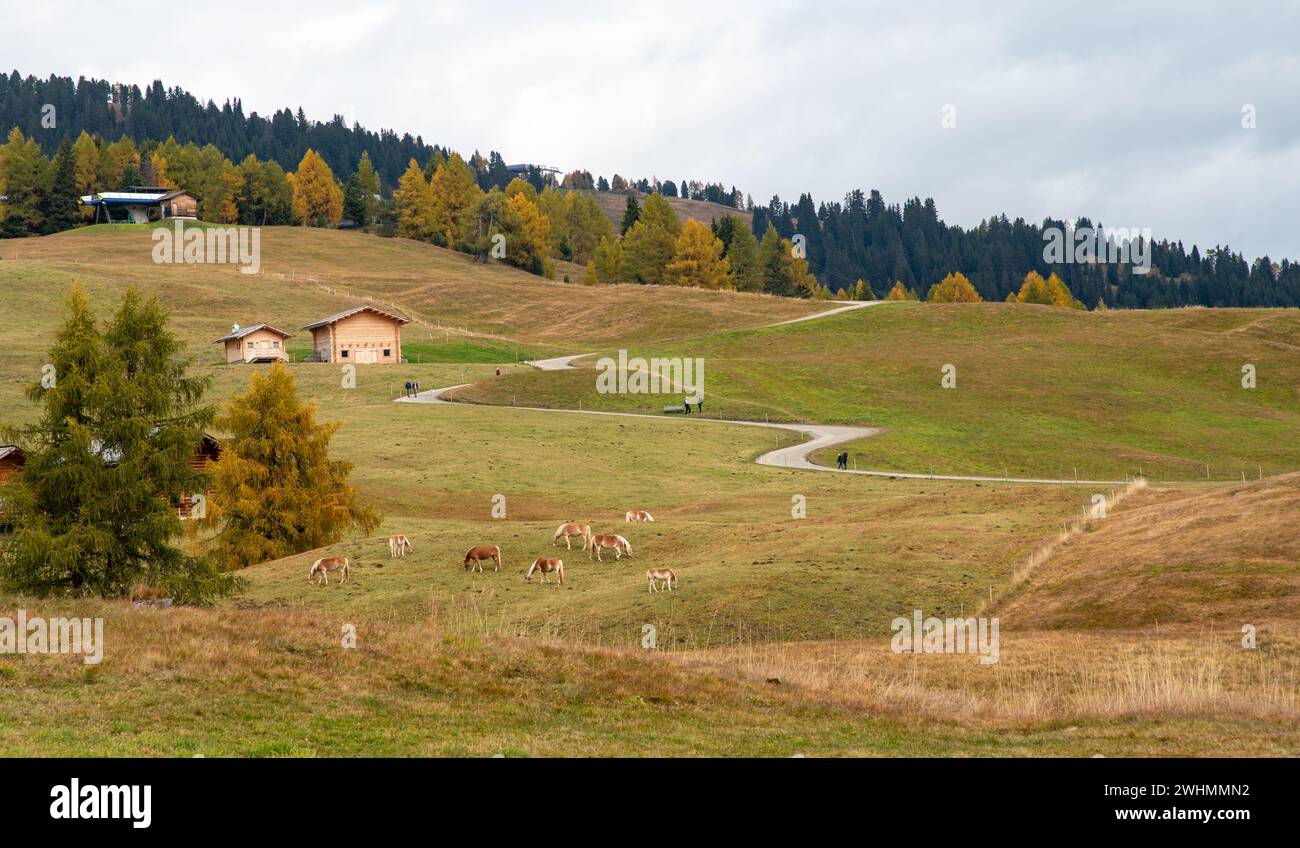 Case di legno in stile chalet su strada ventosa. escursionismo all'aperto. Stile di vita Helathy Foto Stock