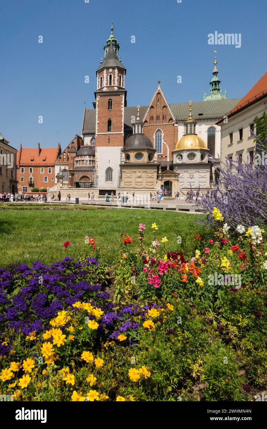 Catedral de Wawel Foto Stock