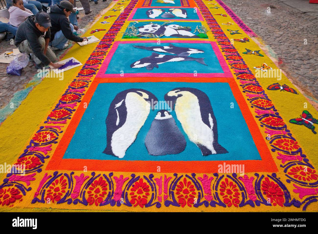 Antigua, Guatemala. Finalizzazione di un bordo di farfalle stencizzate su un alfombra (tappeto) di segatura colorata raffigurante temi ambientali che decorano Foto Stock