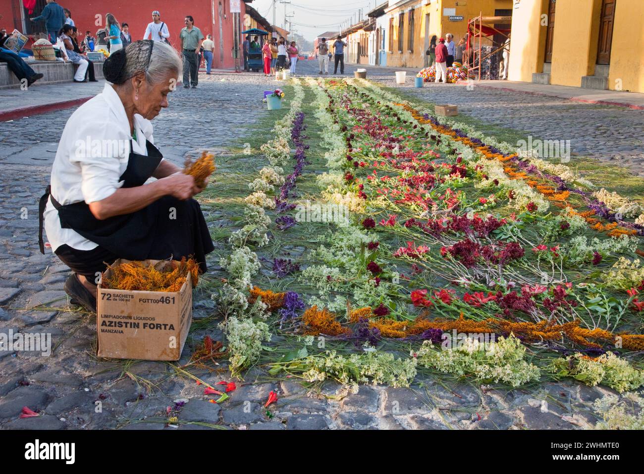 Antigua, Guatemala. Donna che mette tocchi finali su un alfombra (tappeto) di fiori, aghi di pino e altri materiali tradizionali che decorano la S. Foto Stock