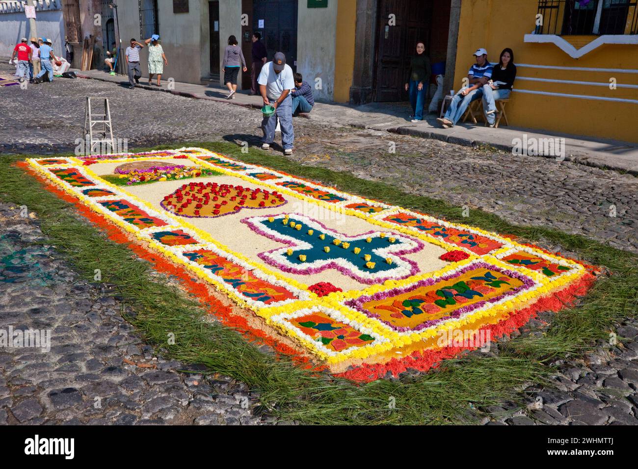 Antigua, Guatemala. Un alfombra (tappeto) di fiori, aghi di pino e altri materiali tradizionali decora la strada prima del passaggio di Foto Stock