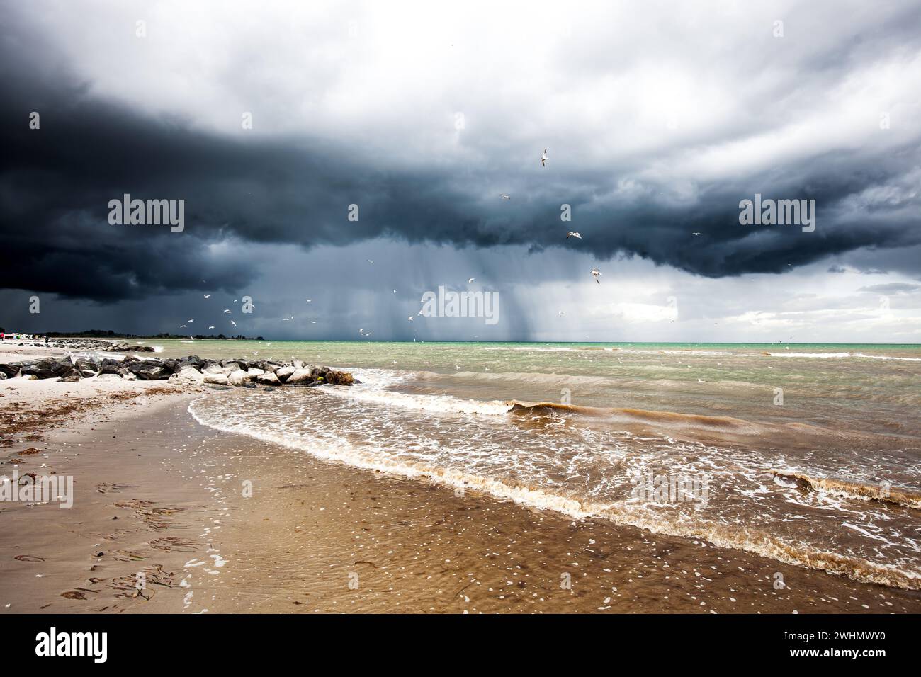 Nuvole di tempesta sul mare. Paesaggio costiero in Germania. Mar Baltico con cielo spettacolare e uccelli, Sterne Foto Stock