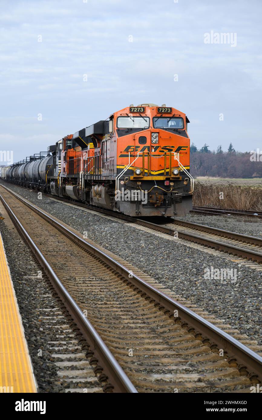 Stanwood, WA, USA - 7 febbraio 2024; treno merci miste condotto dal motore diesel ES44DC BNSF con logo Foto Stock