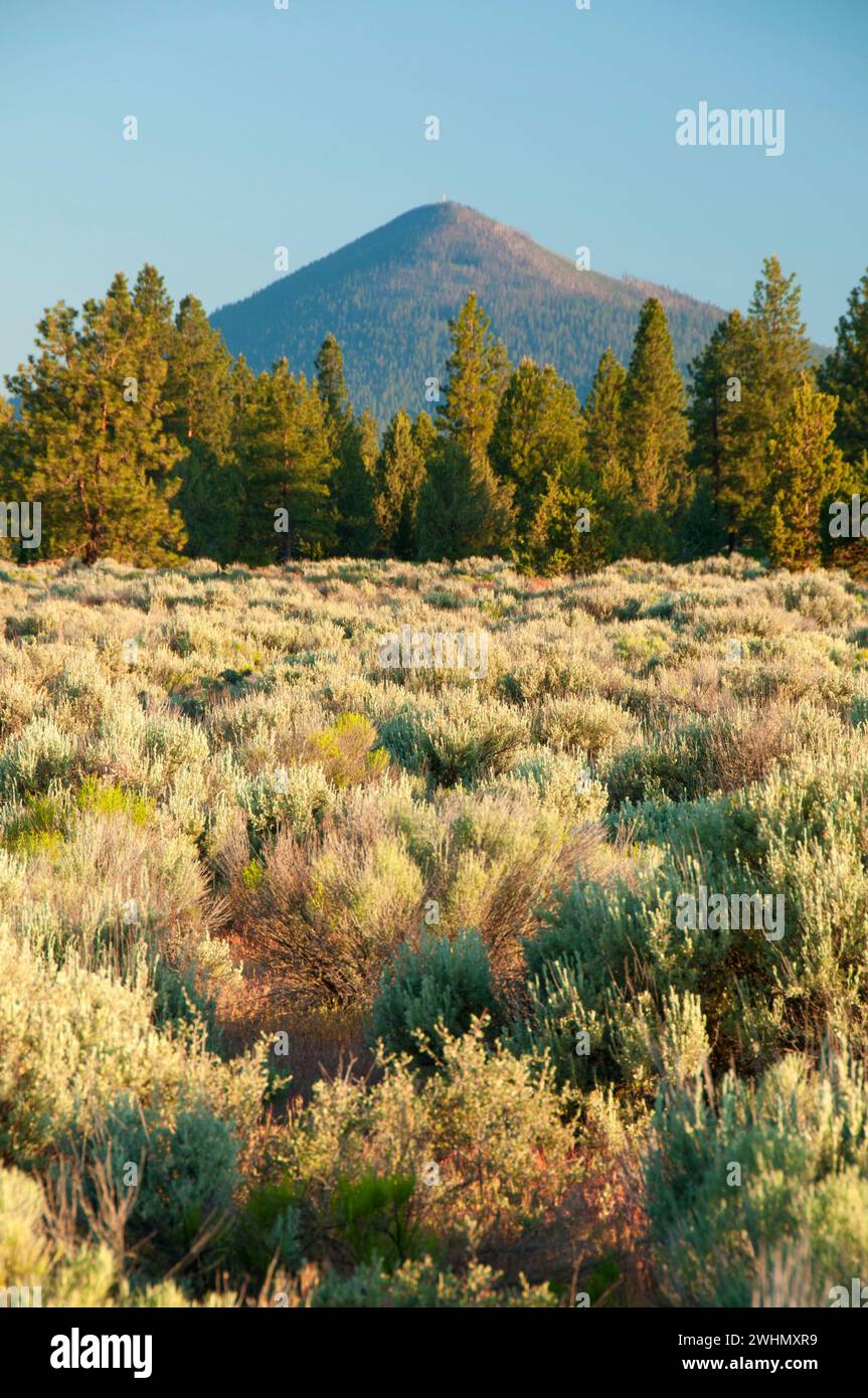 Black Butte, Deschutes County, Oregon Foto Stock