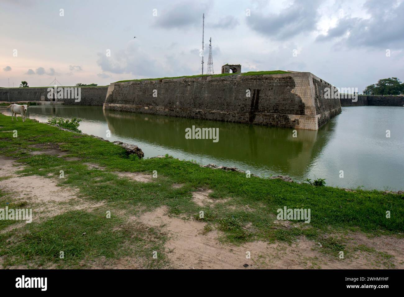 Una sezione dell'Old Dutch Fort circondata da un fossato a Jaffna nel nord dello Sri Lanka. Fu costruito nel 1680 d.C. sopra il forte portoghese originale Foto Stock