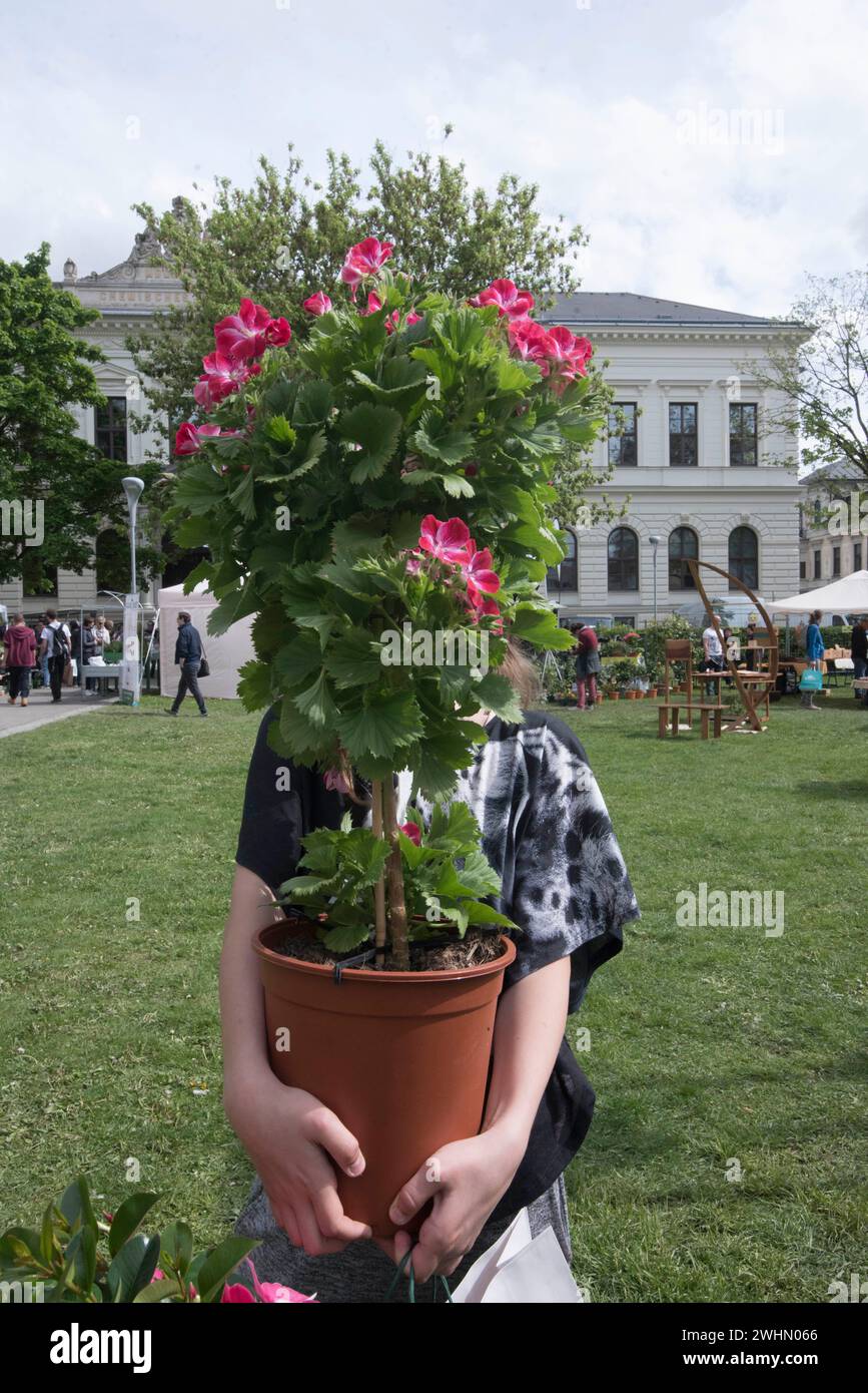 Giardiniere lavora in giardino Foto Stock