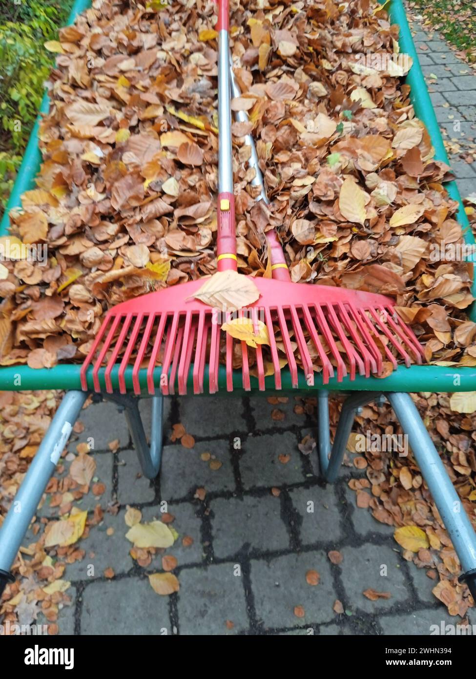 Giardiniere lavora in giardino Foto Stock