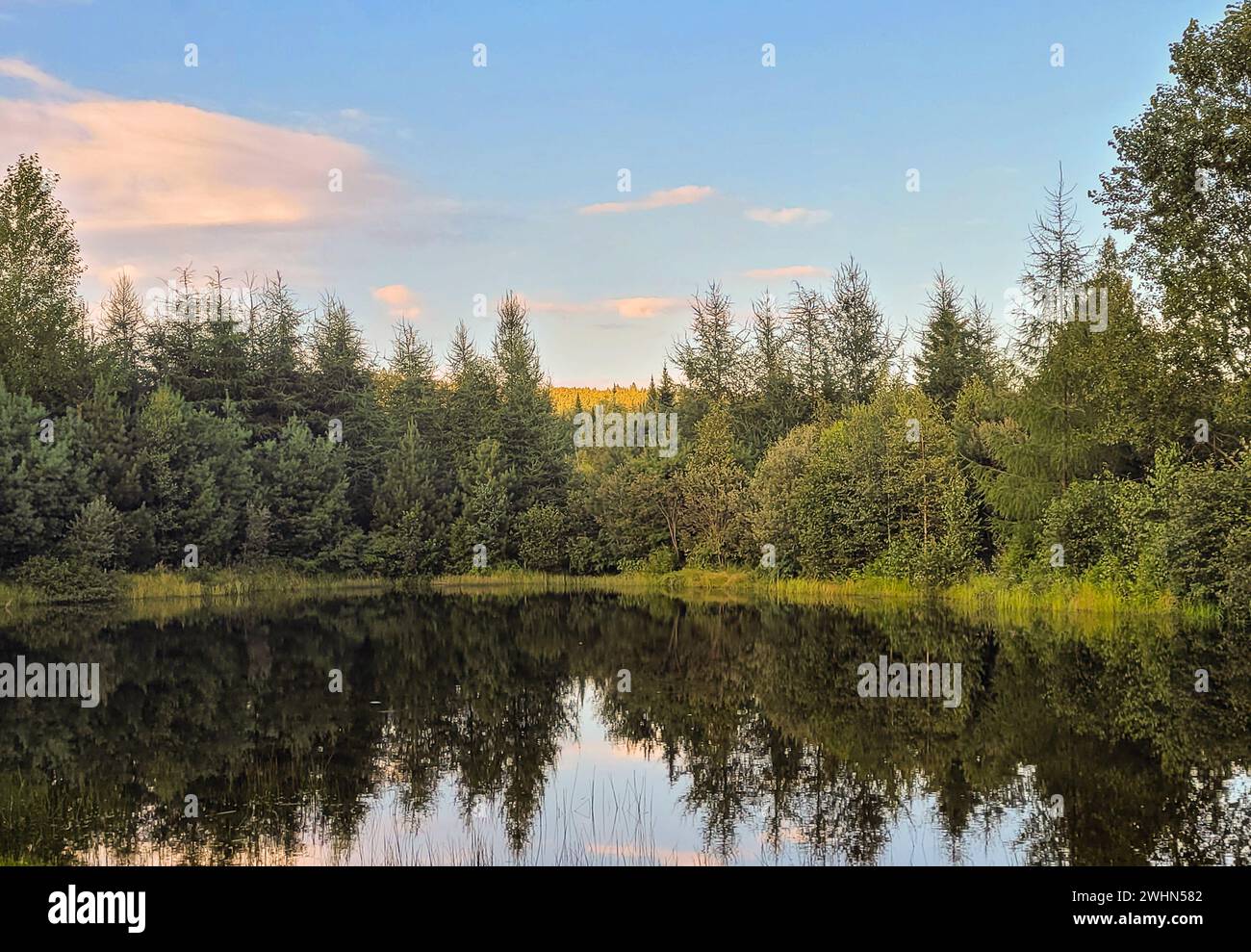 Immagine di un lago Foto Stock