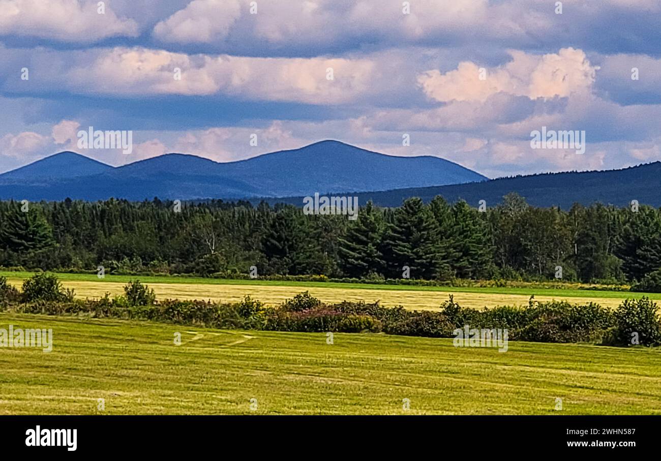 Immagine di una scena di montagna Foto Stock