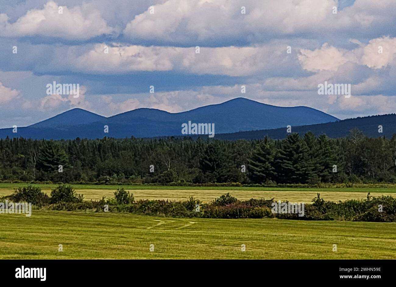 Immagine di una scena di montagna Foto Stock