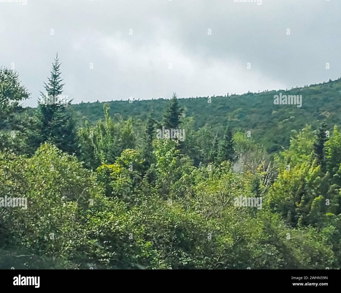 Immagine di una scena di montagna Foto Stock