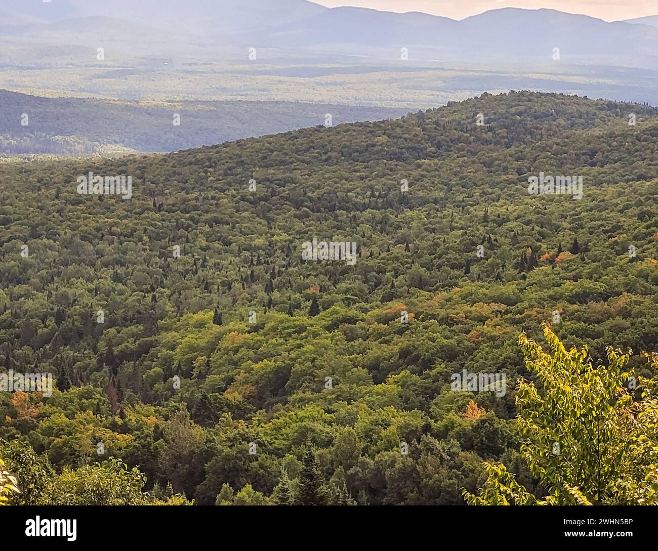 Immagine di una scena di montagna Foto Stock