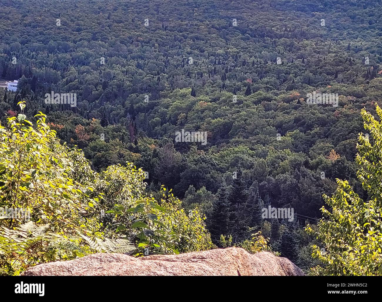 Immagine di una scena di montagna Foto Stock