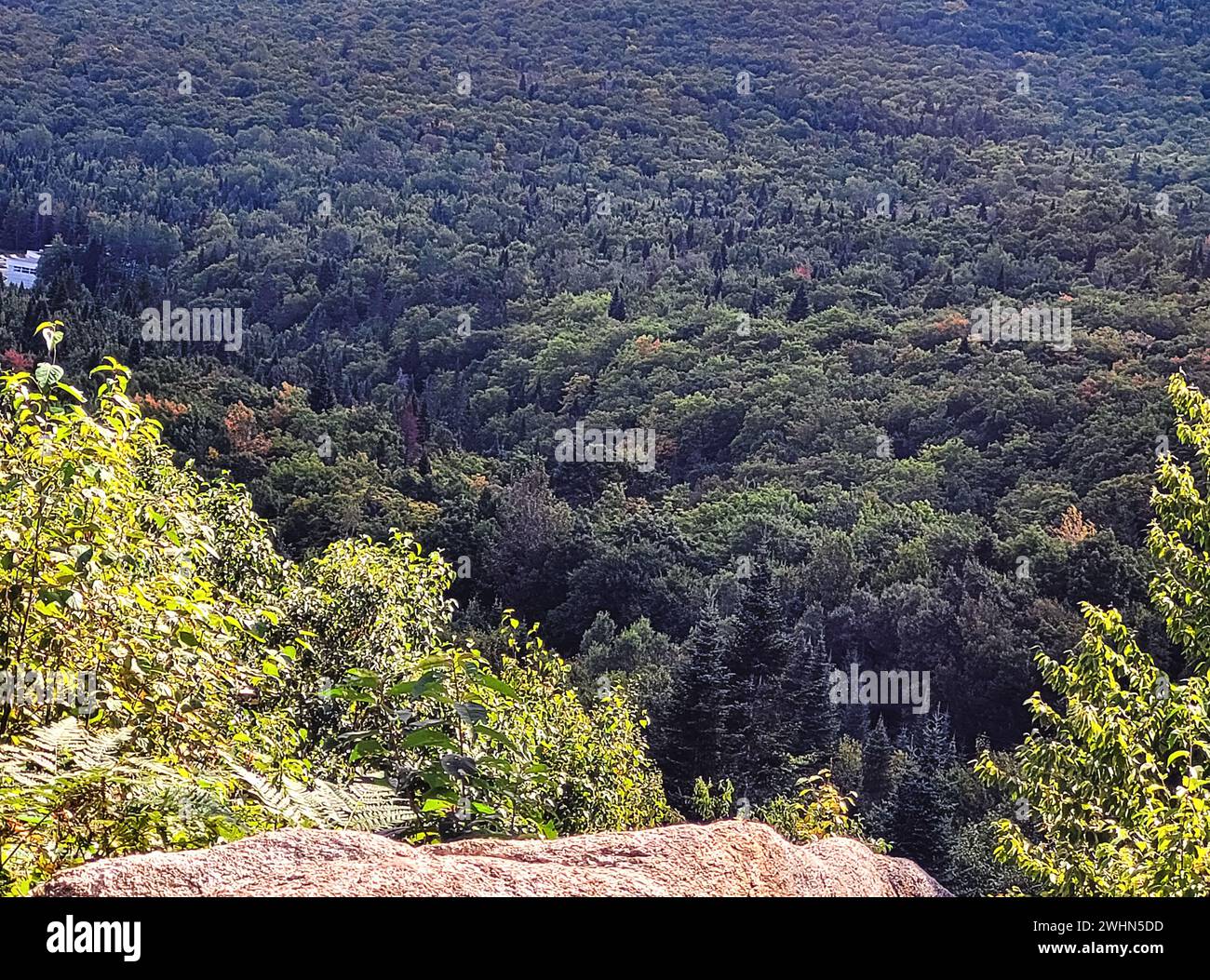Immagine di una scena di montagna Foto Stock