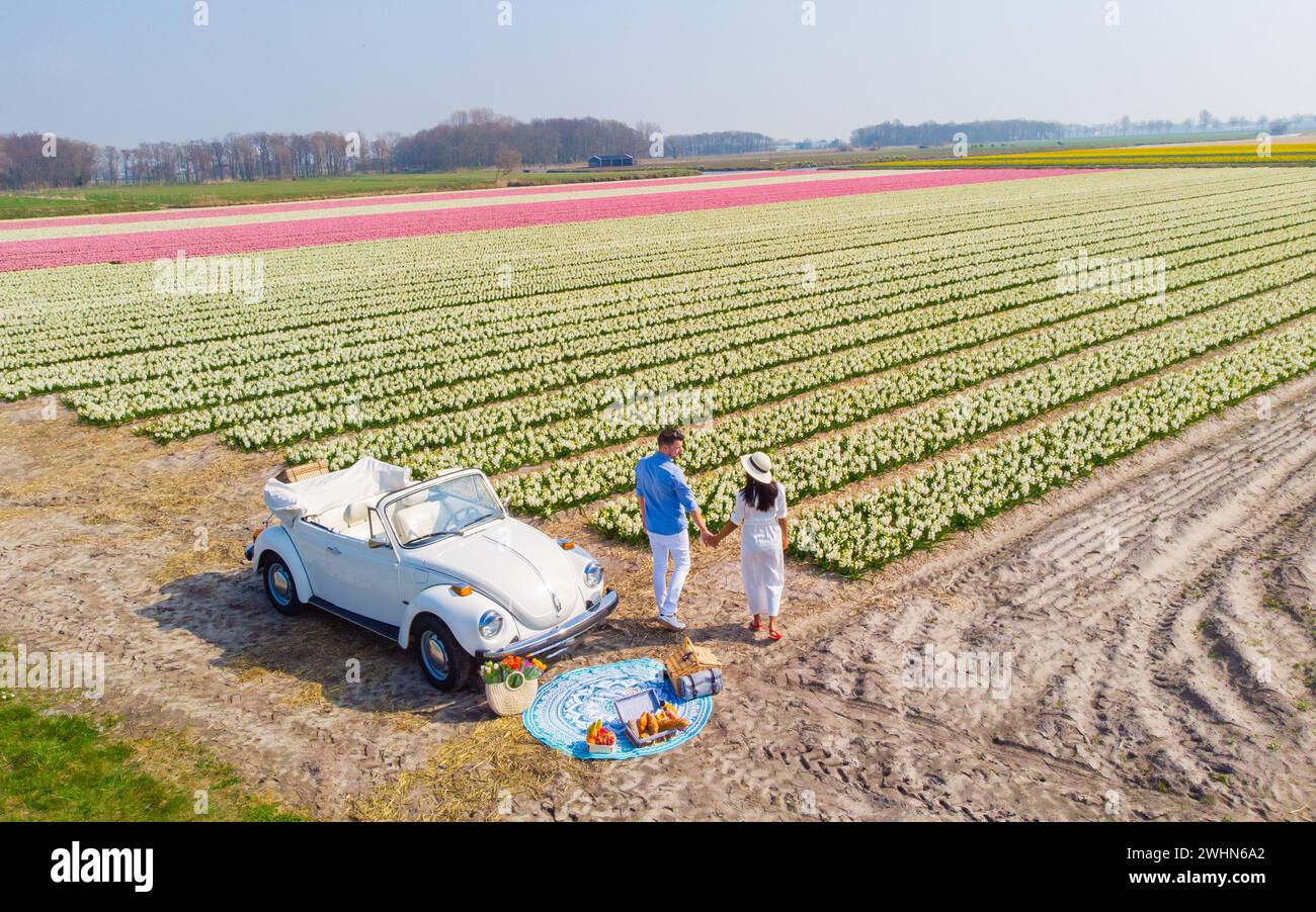 Coppia che fa un viaggio su strada con una vecchia auto d'epoca nella regione olandese dei fiori con campi di tulipani Foto Stock