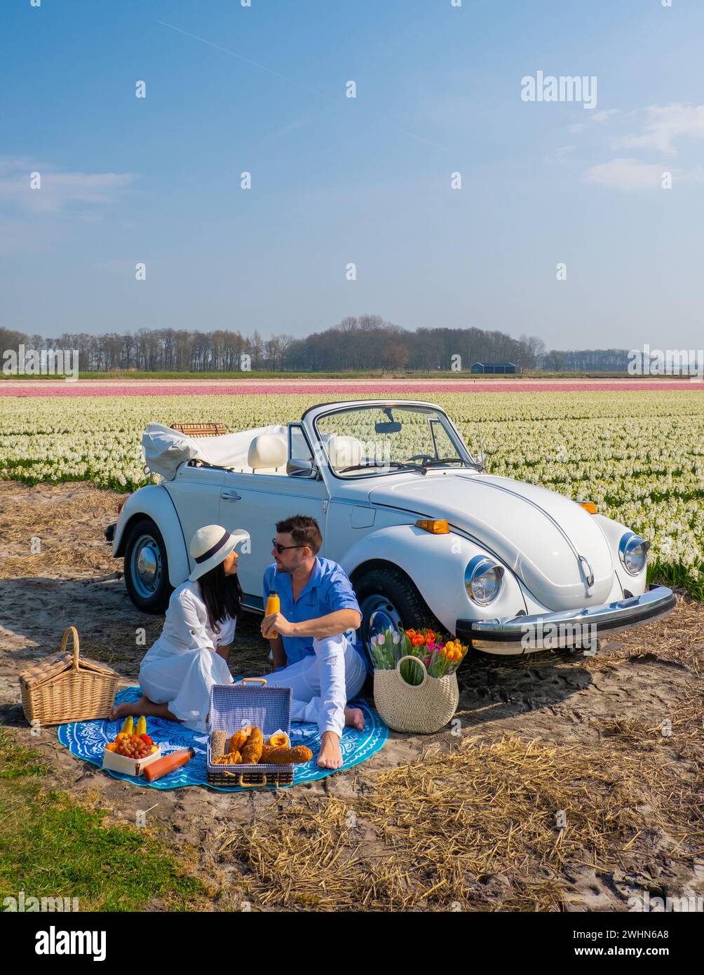 Coppia che fa un viaggio su strada con una vecchia auto d'epoca nella regione olandese dei fiori con campi di tulipani Foto Stock