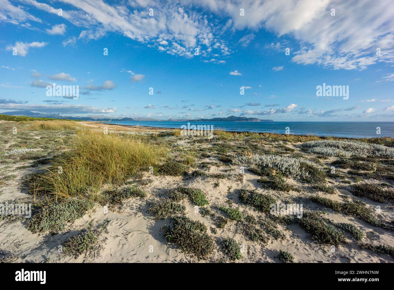 Playa de es DolÃ§ Foto Stock